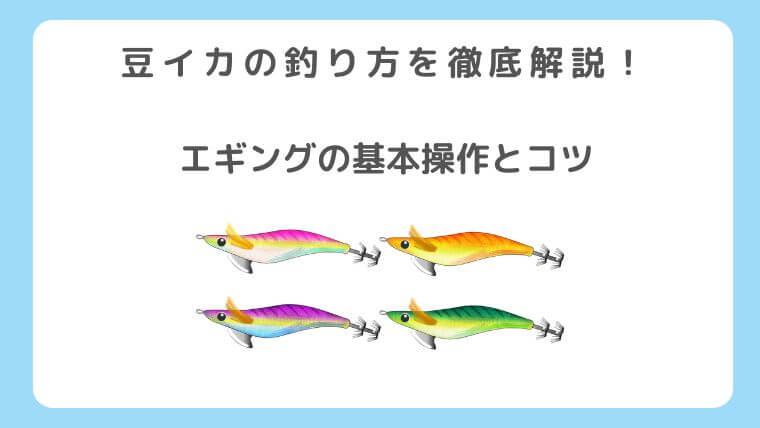 豆イカの釣り方を徹底解説!エギングの基本操作とコツ